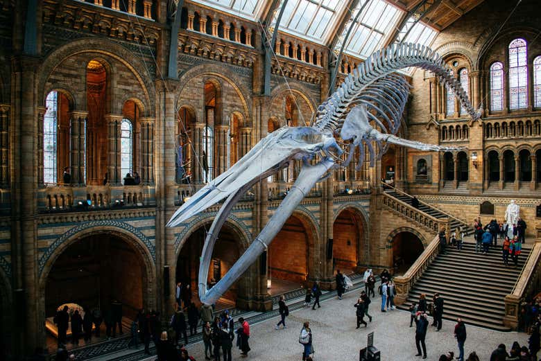 Podréis explorar a vuestro aire el museo