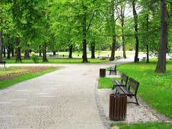 Recorriendo Green Park en Londres