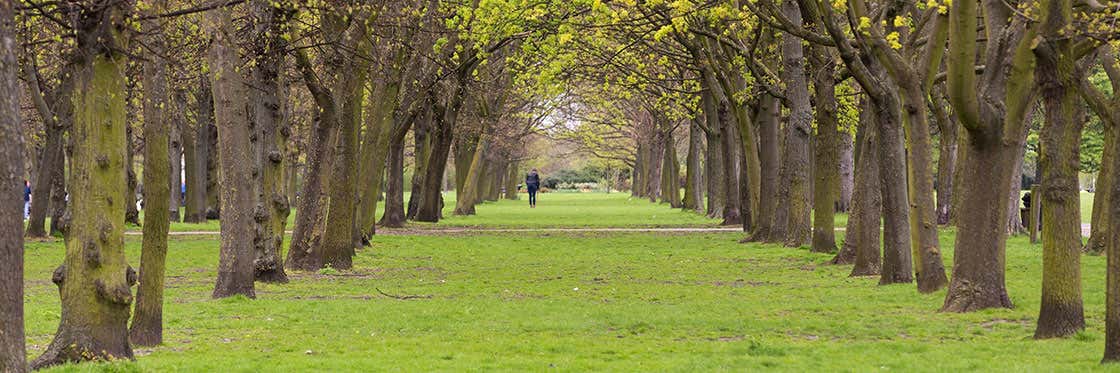 Regent's Park