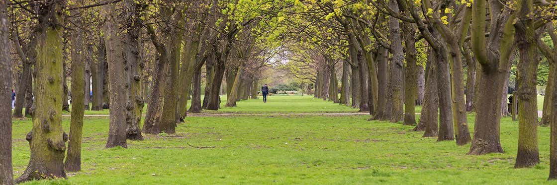 Regent's Park